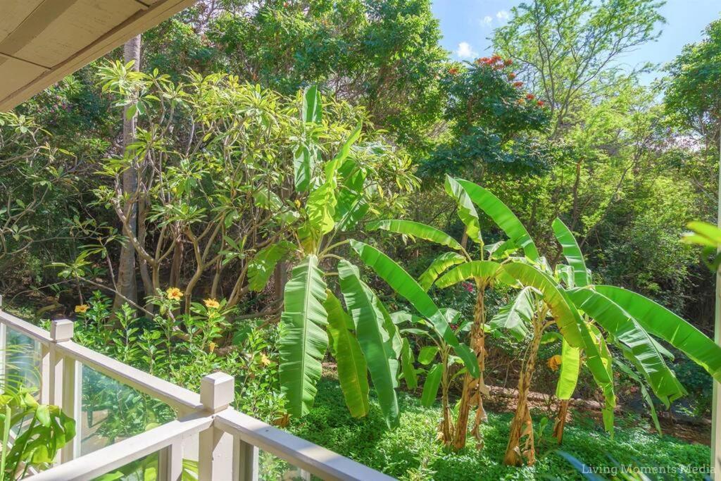 Tiki Tiki - Gorgeous Boho Beach Hideaway! Wailea  Extérieur photo